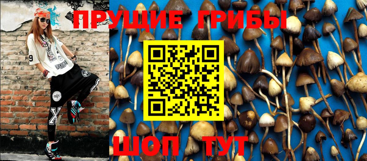 Луховицы  Галлюциногенные грибы Cubensis  Вход с VPN 