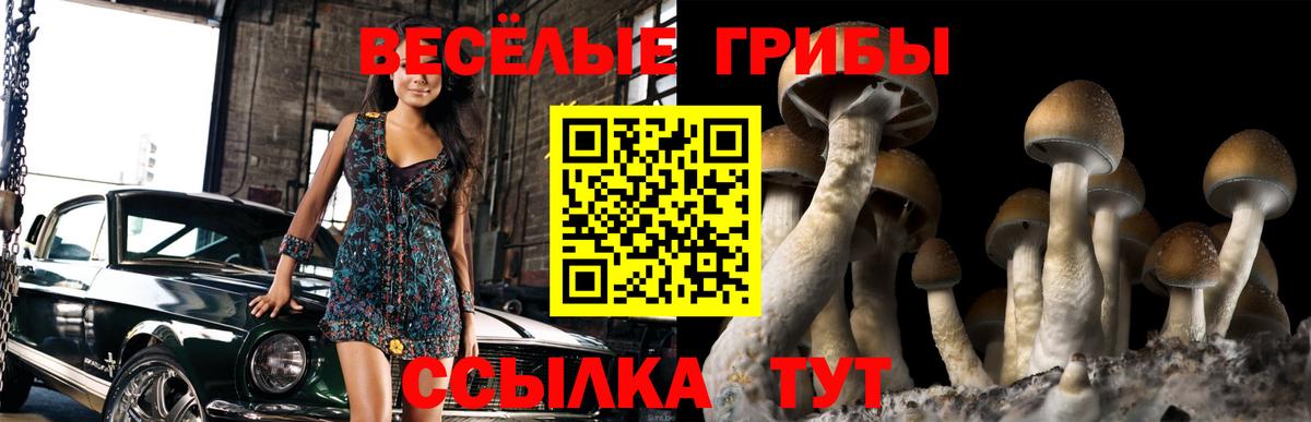 Галлюциногенные грибы прущие грибы Луховицы